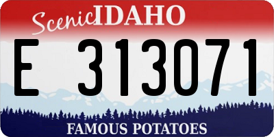 ID license plate E313071