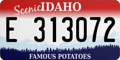 ID license plate E313072