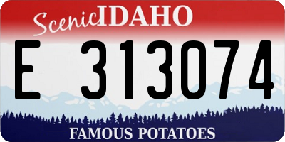 ID license plate E313074