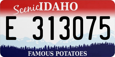 ID license plate E313075