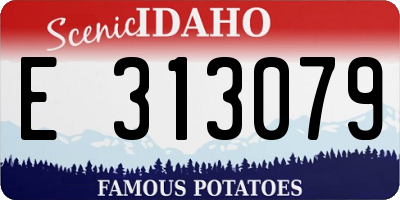 ID license plate E313079