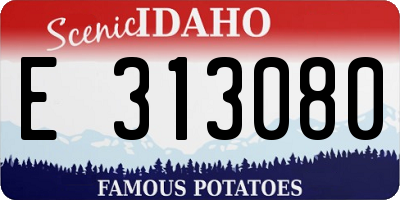ID license plate E313080