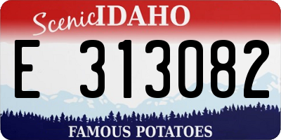 ID license plate E313082