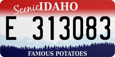 ID license plate E313083