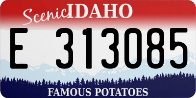 ID license plate E313085