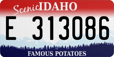 ID license plate E313086