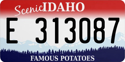 ID license plate E313087