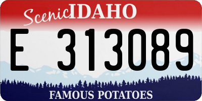 ID license plate E313089