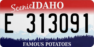 ID license plate E313091