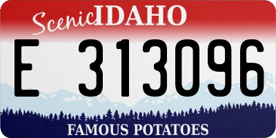 ID license plate E313096