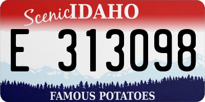 ID license plate E313098