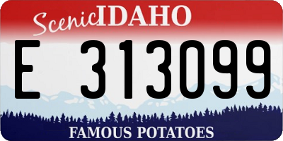 ID license plate E313099