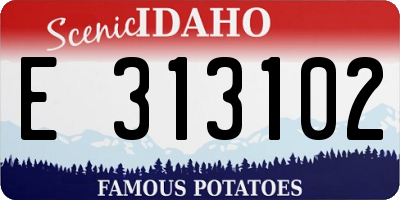 ID license plate E313102
