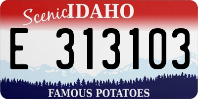 ID license plate E313103