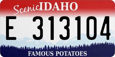 ID license plate E313104