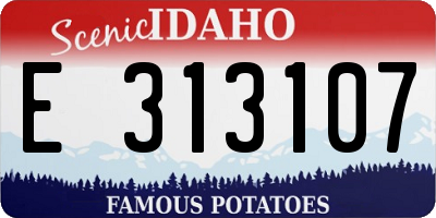 ID license plate E313107