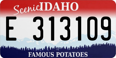 ID license plate E313109