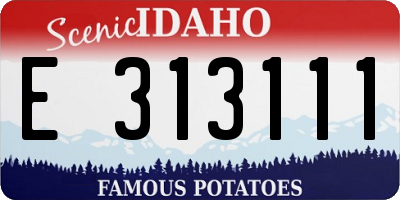 ID license plate E313111