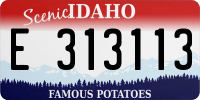ID license plate E313113