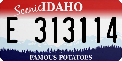 ID license plate E313114