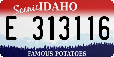 ID license plate E313116