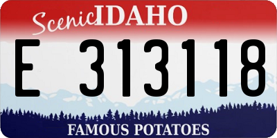 ID license plate E313118