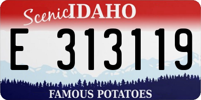 ID license plate E313119