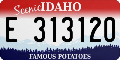 ID license plate E313120