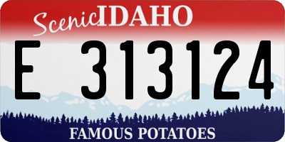 ID license plate E313124