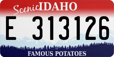 ID license plate E313126