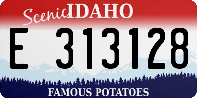 ID license plate E313128