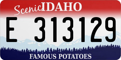 ID license plate E313129