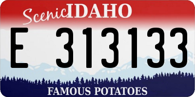 ID license plate E313133