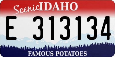 ID license plate E313134