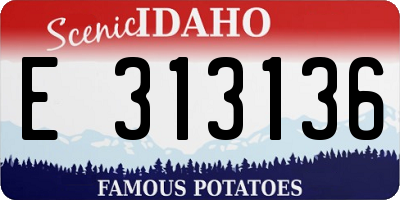 ID license plate E313136
