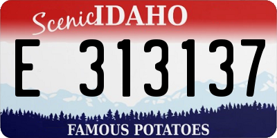 ID license plate E313137