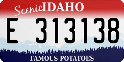 ID license plate E313138