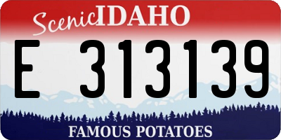 ID license plate E313139
