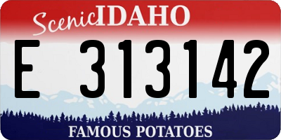 ID license plate E313142
