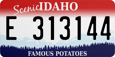 ID license plate E313144