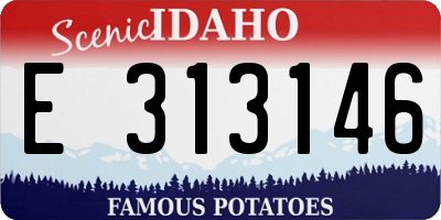 ID license plate E313146