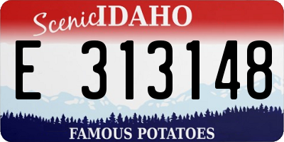 ID license plate E313148