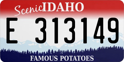 ID license plate E313149