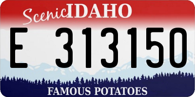 ID license plate E313150