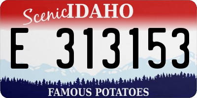 ID license plate E313153