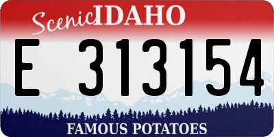 ID license plate E313154