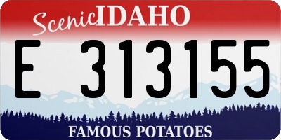 ID license plate E313155