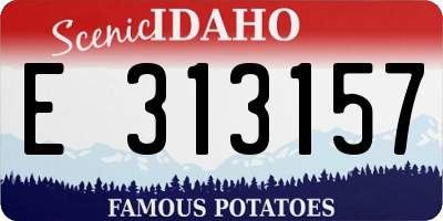 ID license plate E313157