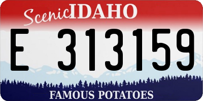 ID license plate E313159