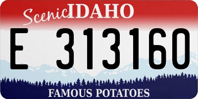 ID license plate E313160